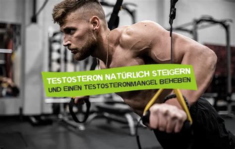 Testosteron natürlich steigern 10 Tipps CareElite