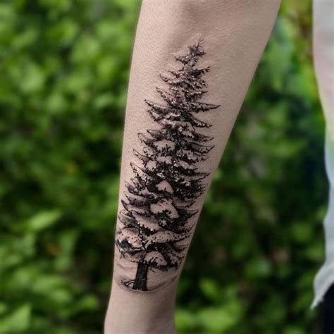 25 Evergreen Tree Tattoo Designs And Ideas EntertainmentMesh