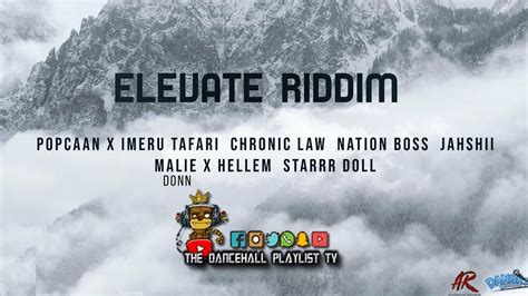 Elevate Riddim Various Artists Dan Sky Records Attomatic Records