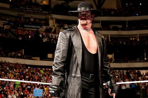 Undertaker vs. Brock Lesnar Needs a Decisive Finish at WWE Hell in a Cell | News, Scores ...