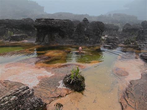 Angel Falls And Roraima The Lost World Angel Eco Tours