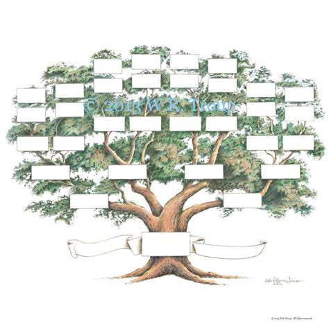 Árbol Genealógico Gráfico De Scrapbook De 12x12 Pulgadas 5 6 Etsy