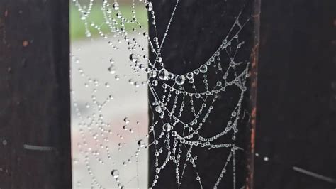 Jest Wydano ostrzeżenie meteo dla naszego powiatu AKTUALIZACJA