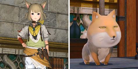Final Fantasy Xiv How To Get The Troll Mount