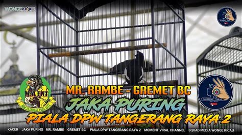 Kacer Jaka Puring Milik Mr Rambe Dari Gremet Bc Koncer Di Piala Dpw