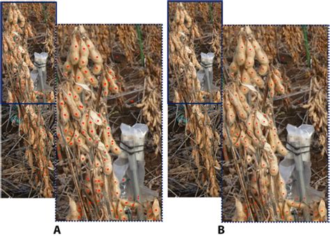 Fig 5 The Comparisons Betwee [image] Eurekalert Science News Releases