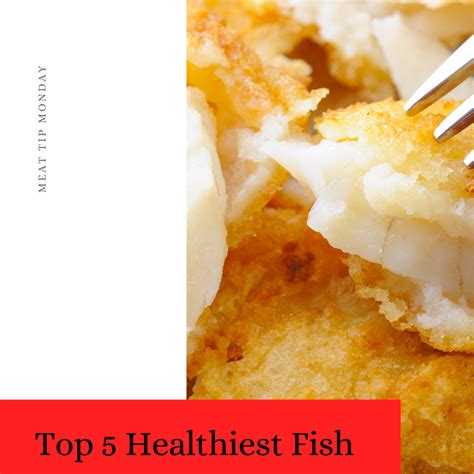 Top 5 Healthiest Fish Uw Provision Company