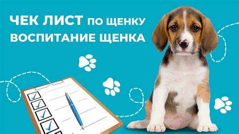 Можно ли оставлять ЩЕНКА одного дома? Как воспитывать ЩЕНКА? Воспитание ...