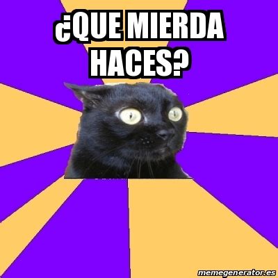 Meme Anxiety Cat Âque mierda haces 22725874