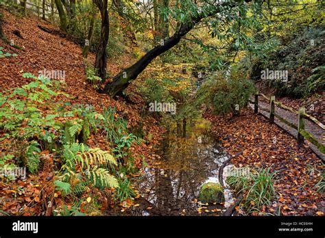 Uksomersetyeovilyeovil Country Parkninesprings Stock Photo Alamy