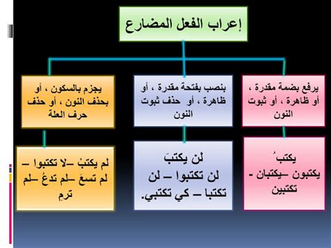 شرح درس اعراب الفعل المضارع وبناؤه نحو لغة عربية للصف العاشر الفصل