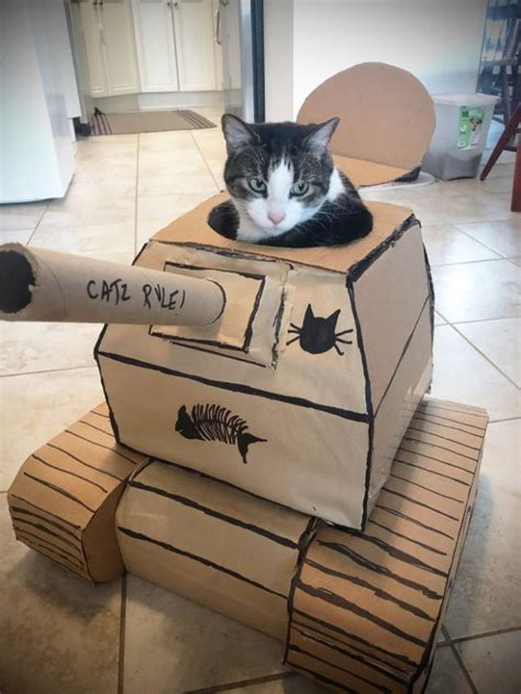 Cat Army Cats In Cardboard Tanks