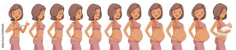 Pregnancy Stages set. Happy Woman With Different Stages Of Pregnancy ...