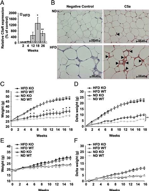 Figure 1 from Tissue Inflammation and Insulin Resistance Receptor Contributes to Obese Adipose ...