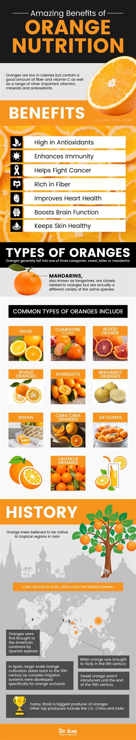 Cutie Oranges Nutrition Facts | Besto Blog