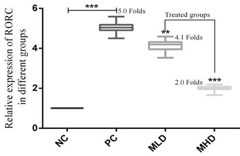 The Effects Of β D Mannuronic Acid On Rorc Gene Expression In Download Scientific Diagram