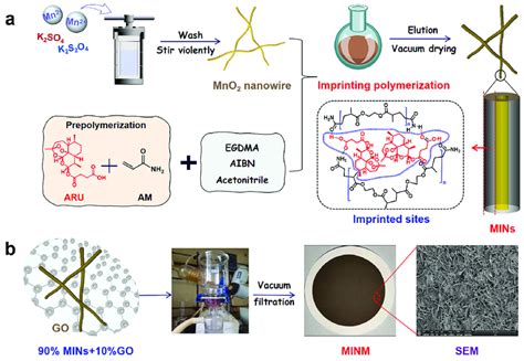 Schematic Diagram Of A The Process Of Preparing Molecularly Imprinted