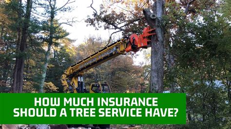 How Much Insurance Should A Tree Service Have Mayer Tree Service Inc