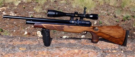 67 best images about Hunting Rifles on Pinterest | Deer hunting, Air rifle and Models