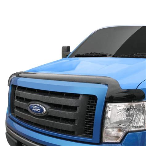 Promaxx® Ford F 150 2014 Bug Shield