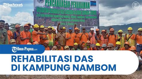 Lakukan Penanaman Pohon Pt Freeport Indonesia Rehabilitasi Daerah