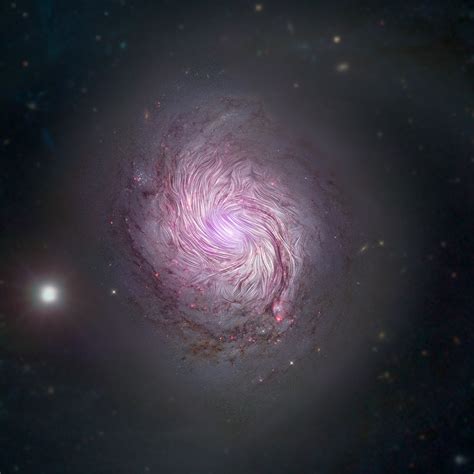 How Spiral Galaxies Get Their Shape Universe Today