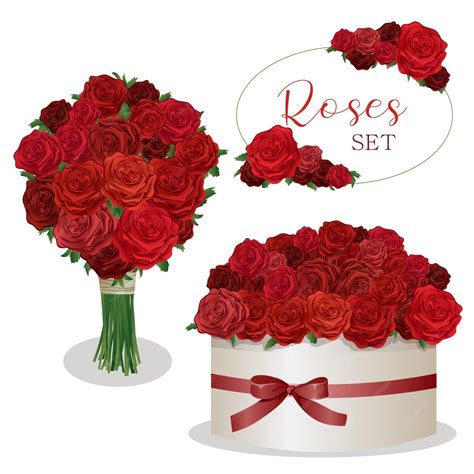 Premium Vector Vector Red Roses Set Red Roses Love Set Valentines