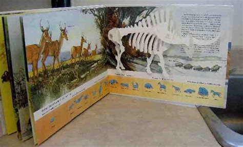 Prehistoric Mammals A New World A Pop Up Book By Melvin Berger Fine