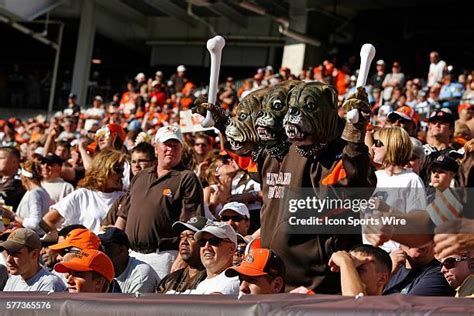 112 Cleveland Browns Dawg Pound Stock Photos, High-Res Pictures, and ...