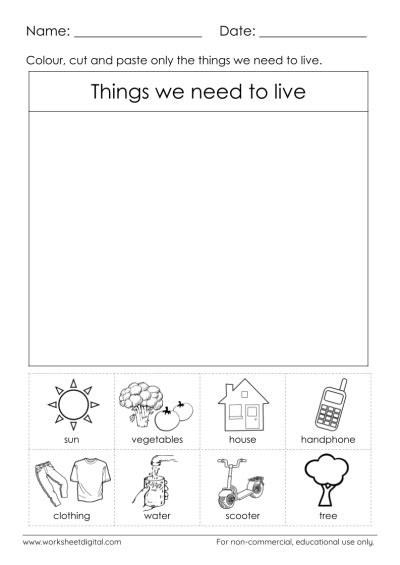 Grade 2 Science Worksheet Digital Worksheets Library