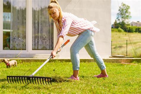 Woman Using Rake To Clean Up Garden Stock Image Image Of Care Rake