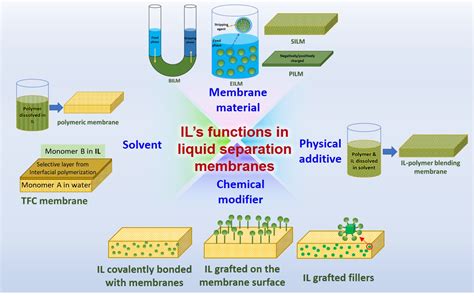 Membranes Free Full Text Functions Of Ionic Liquids In Preparing Membranes For Liquid