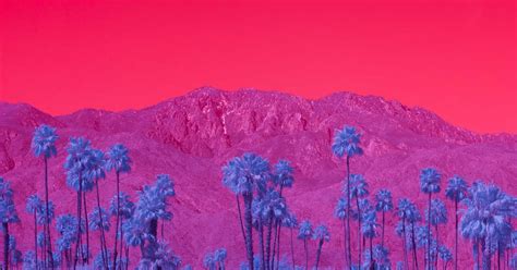 Kate Ballis Infra Realism California Infrared