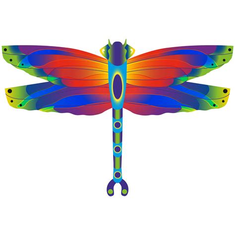 X Kites Sams Club Dragonfly Kite 2023 Assortment A
