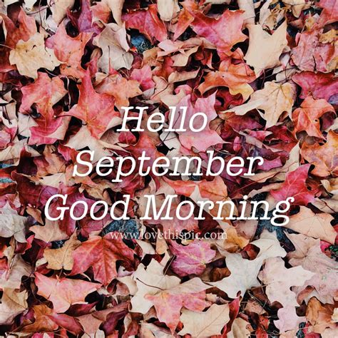 Dried Leaves Hello September Good Morning Pictures Photos And