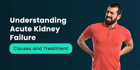 Understanding Acute Kidney Failure Causes And Treatment