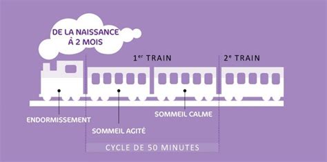 Comprendre les cycles du sommeil de votre bébé mpedia fr