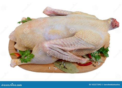 A Raw Goose Ready To Cook On A Cutting Board Isolated On A White