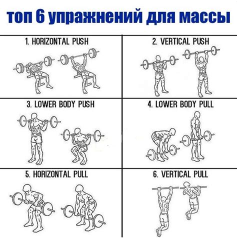 Тренировочные программы для набора мышечной массы: Программа тренировок ...