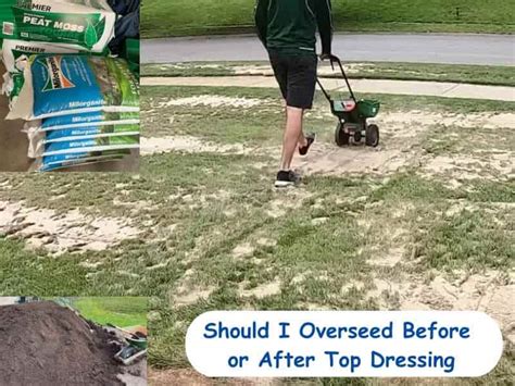 Using Ammonium Sulfate For Lawns As Fertilizer Lawn Model