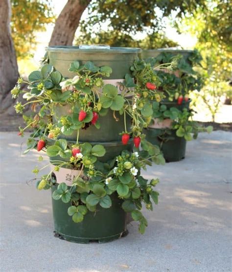 Diy Strawberry Tower With Built In Reservoir Recyclart