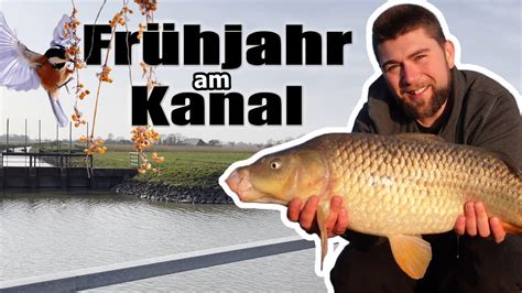 So klappts mit dem Frühjahrsfisch Im März am Kanal auf Karpfen