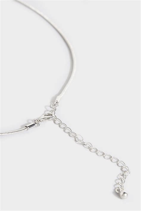 Silver Long Hoop Necklace Long Tall Sally