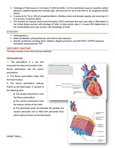 SOLUTION Tetralogy Of Fallot Medical Background Studypool