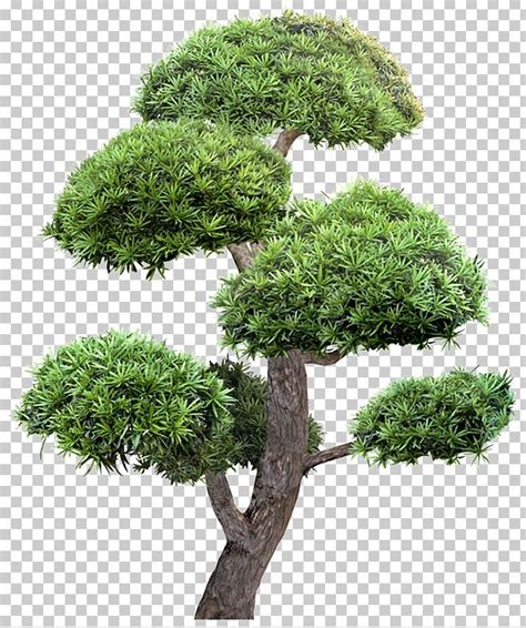 Tree Garden Landscape Greening Png Free Download In 2024 Tree Photoshop Photoshop