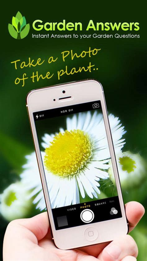 23 Best Plant Identification Apps For 2023 Balcony Garden Web