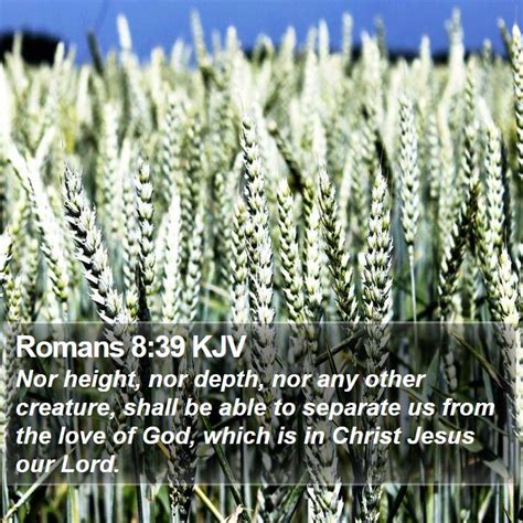 Romans 8 Scripture Images Romans Chapter 8 Kjv Bible Verse Pictures