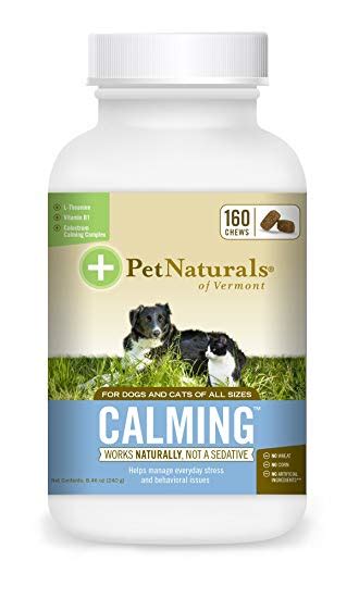 5 Best Calming Supplements For Dogs Anxiety Relief