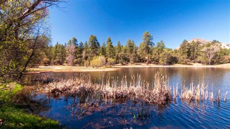 5 BEAUTIFUL LAKES NEAR PRESCOTT AZ FOR SUMMER FUN