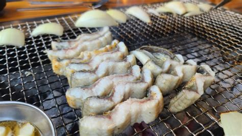 노형동맛집 민물장어 숯불구이 풍천장어 직판장 다녀왔어요 네이버 블로그